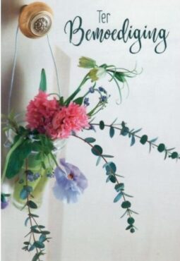 550×799-32.jpg