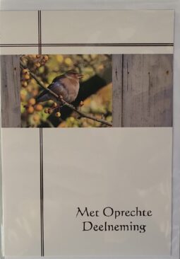 Met-oprechte-deelneming-vogel-op-tak-wenskaartenplein.nl