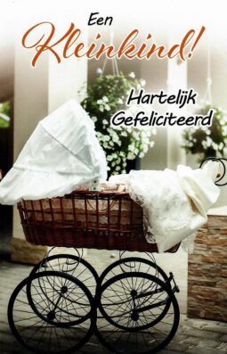 Kleinkind-wandelwagen-gefeliciteerd-wenskaartenplein.nl