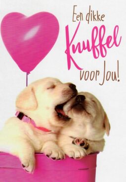 Knuffel-voor-jou-honden-roze-ballon-wenskaartenplein.nl